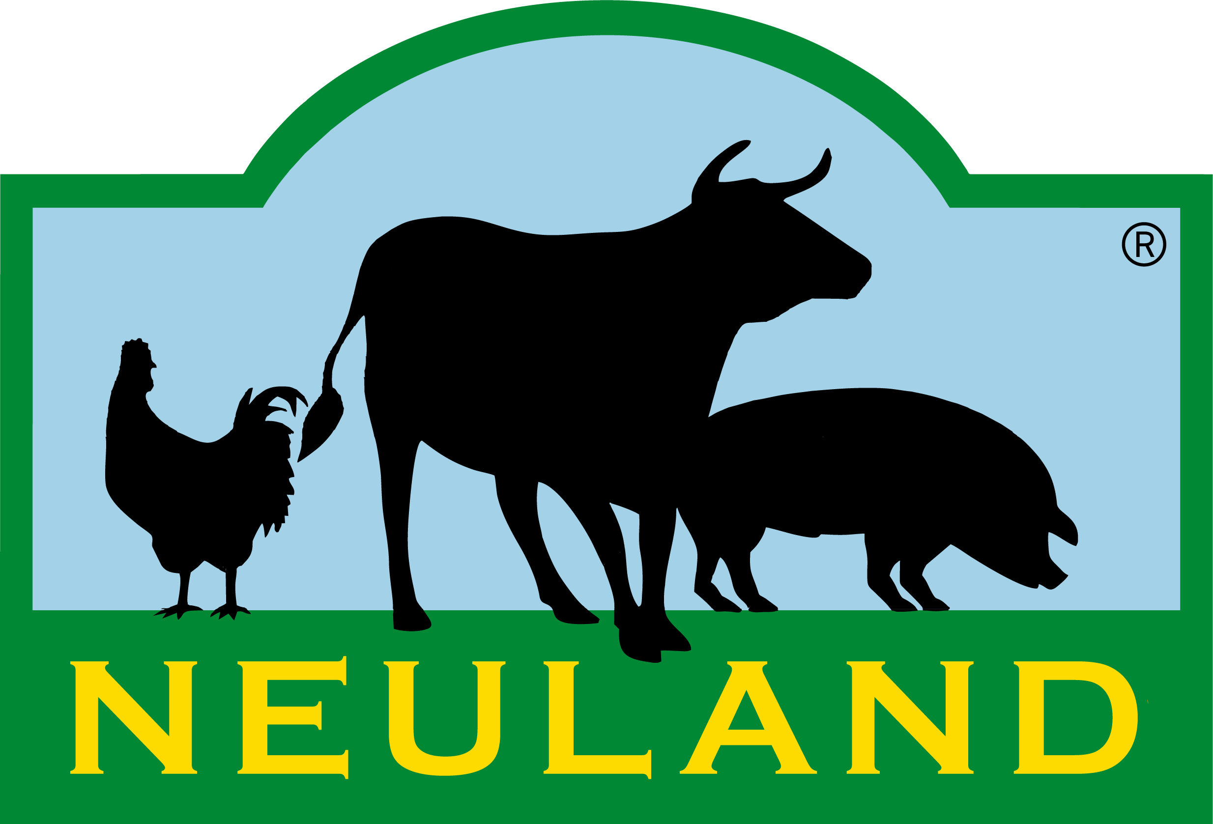 NEULAND